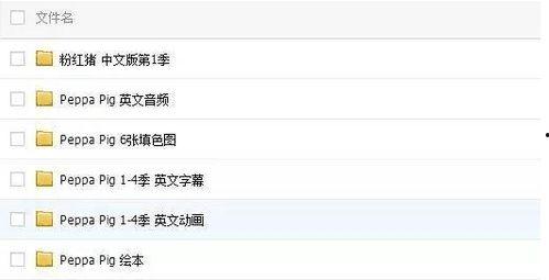 明星网红英语翻译中文,闪耀全球的璀璨星光