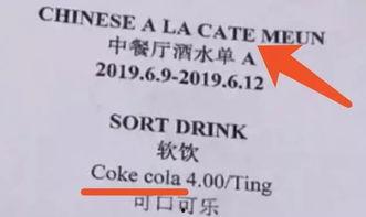 明星网红英语翻译中文,闪耀全球的璀璨星光