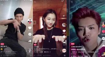 明星网红旅游最近视频,明星同款旅游胜地大揭秘