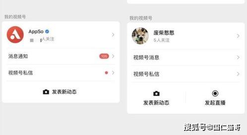 王瓜店今日视频直播在哪看,精彩瞬间不容错过，观看指南在此揭晓