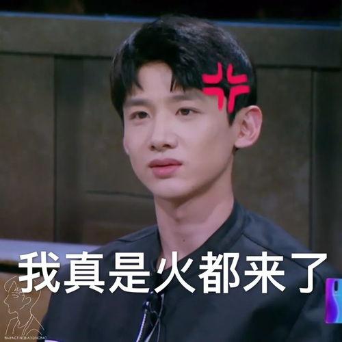 姓夏的明星网红男生,闪耀娱乐圈的青春偶像