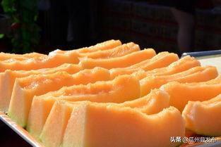 瓜州今日蜜瓜价格,价格行情一览